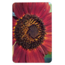 Recherche de tournesol rouge magnets Nature