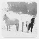 Recherche de amants de cheval autocollants Nature