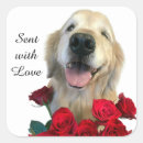 Recherche de bouquets de roses rouges autocollants Toute personne