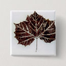 Recherche de nature carrés badges Feuille