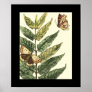 Recherche de insecte art Botanique