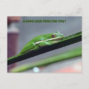 Recherche de traineau cartes postales Grenouille