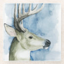 Recherche de cerfs communs dessous de verres Animaux