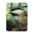 Recherche de conception de fractale magnets Fractales