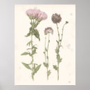 Recherche de presse posters Fleurs