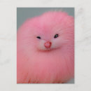 Recherche de fureur cartes postales Animal