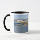 Recherche de friel tasses Alamogordo