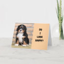 Recherche de anniversaire retard cartes invitations Drôle