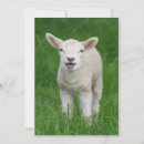 Recherche de lil vœux cartes Mignon