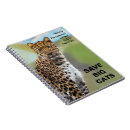 Recherche de pardus Pardus de panthera