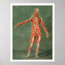 Recherche de conditions médicales art Anatomie