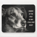 Recherche de citation chien tapis souris Animal de compagnie