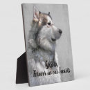 Recherche de animaux portraits Sympathie