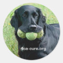 Recherche de canines autocollants Animaux domestiques