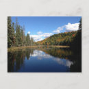 Recherche de provincial cartes postales Forêt