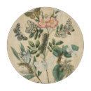 Recherche de insectes planches à découper Chenilles