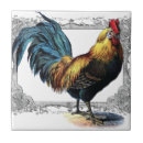 Recherche de oeuf carreaux Oiseau