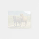 Recherche de chevalin Poney