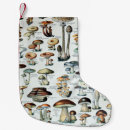 Recherche de plantes chaussette de noël Pour tous