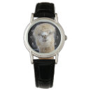 Recherche de le pérou accessoires Animal