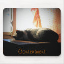 Recherche de petit somme tapis souris Sommeil