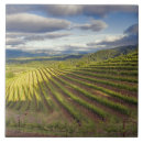 Recherche de vignoble carreaux États unis