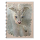 Recherche de kangourous carnets Faune