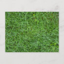 Recherche de tonte cartes postales Herbe