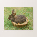 Recherche de lapins puzzles Lapin de pâques