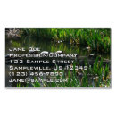 Recherche de tortue verte cartes visite Nature