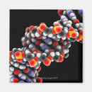 Recherche de biologie magnets Recherche