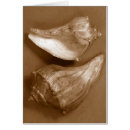 Recherche de conique cartes postales Nature