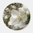 Recherche de de fleur de ressort magnets Arbre