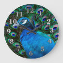 Recherche de plumes de paon horloges Paons