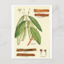 Recherche de cases cartes postales Recette