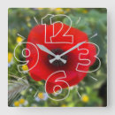Recherche de pavots horloges Pour tous