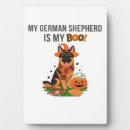 Recherche de berger allemand plaques Amoureux des chiens