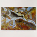 Recherche de fossiles puzzles Darrell gulin