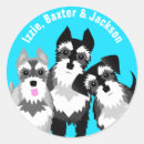 Recherche de chien schnauzer miniature autocollants Amoureux des chiens