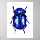 Recherche de carapace posters Animal