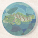 Recherche de crapaud dessous de verres Faune