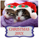 Recherche de chaton photo sculptures Animal