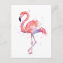 Recherche de peinture flamant cartes postales Animal