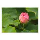 Recherche de kenilworth posters D c