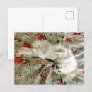 Recherche de pantoufle cartes postales Animal