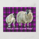 Recherche de laine cartes postales Écossaise