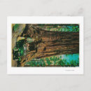 Recherche de mariposa cartes postales Arbre
