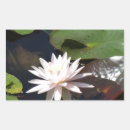 Recherche de flore rectangles autocollants Pour tous
