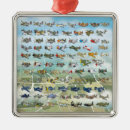 Recherche de caricature ornements Avion