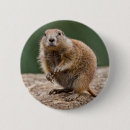 Recherche de marmotte badges Rongeur